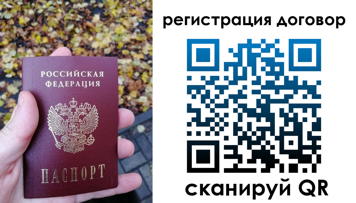 найти адрес прописки в Мончегорске