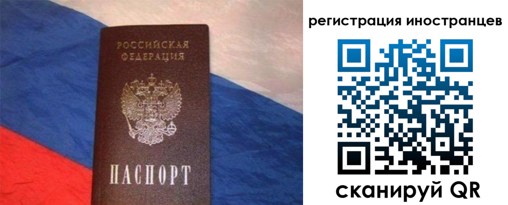 прописка в Мончегорске